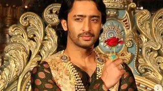 I think the driving force even in present day is love. - Shaheer Sheikh Thumbnail