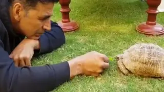 Akshay Kumar has made the life of this tiny Tortoise, absolutely LIT Thumbnail