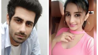 Leads confirmed for Zee TV's next show produced by Sobo Films!