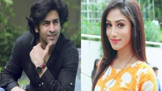 Shashank Vyas and Donal Bisht get into major fight on the sets of Roop!