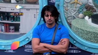 Karanvir left disappointed with Dipika and Sreesanth in Bigg Boss house!