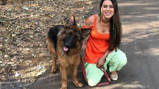 OMG! 'Ishq Mein Marjawan' actress Nia Sharma attacked by dogs! Thumbnail