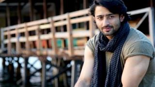 Shaheer Sheikh reveals his FAVORITE SONG, the one he plays on loop!