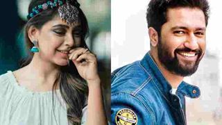 Here's how Niti Taylor and Vicky Kaushal have a CONNECTION...