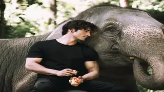 This is how Elephants RULED the sets of 'Junglee'