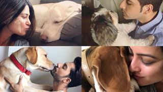 10 Celebrities and their utter love for their dogs!