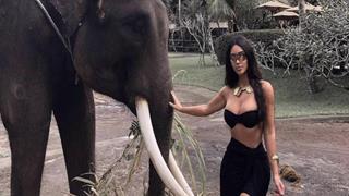 #FREAKYFRIDAY: In 2019, Kim Kardashian wants to piss off (more) animal rights activists, vegans and woke people!