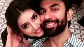 Newlyweds Charu Asopa-Rajeev Sen Approached for an Upcoming Web-Series!