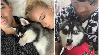 Joe Jonas and Sophie Turner mourn the death of their dog Waldo; get matching tattoos in his memory!