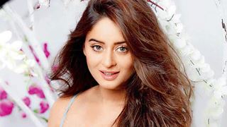 Heavily pregnant Mahhi Vij bashed for posting against animal sacrifice on Eid