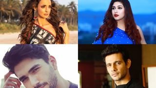 Navroz Mubarak: Popular TV Actors Who Are Parsi!