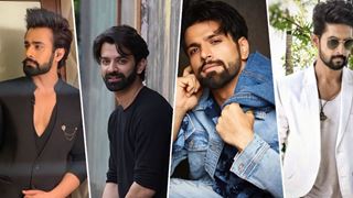 World Beard Day:  Are You A Serial Pognophile? Well, we Bring You Hottest Beardos From Telly Town!