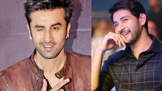 Not Ranbir Kapoor but Mahesh Babu was the First choice for Sandeep Vanga’s dark thriller titled Devil