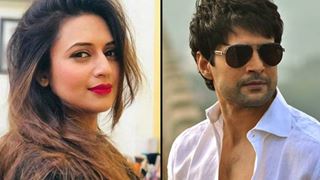 Divyanka Tripathi-Rajeev Khandelwal to Come Together Yet Again! Thumbnail