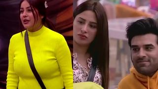 BB13: Paras Chhabra Slams Door On Shehnaaz Gill; Saves Mahira Sharma Thumbnail