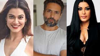 Ayodhya Verdict: TV Celebs Share Their Opinion On the Judgement