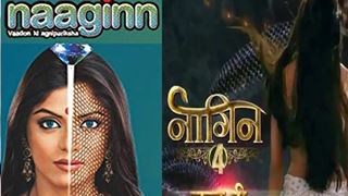 'Naagin 4' Ropes In 'Original Naaginn' Sayantani Ghosh