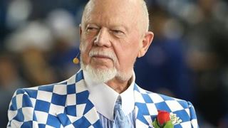 For Offensive Immigrants Comments, Hockey Pundit Don Cherry Gets Fired