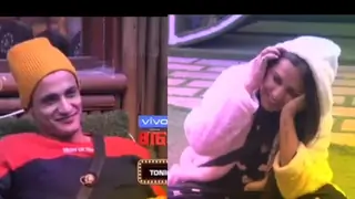BB 13: Are Asim & Himanshi The New Couple In The House?
