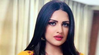 BB 13: Himanshi Khurana Overthrown From Captainship Amidst Anarchy in The House!