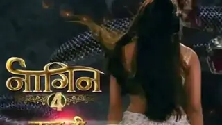 Naagin 4 Won’t Be a Continuation of Bela & Mahir’s Story