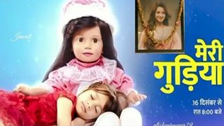 Meri Gudiya: The Unknown Facts About The Doll Used In The Show!