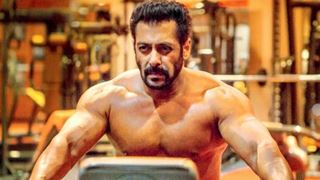 Salman Khan’s Dabangg 3 has Shattered the Box Office, Crossed 200 Crore Worldwide!
