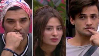 Bigg Boss 13: This is the new Punishment for Asim, Paras and Mahira 
