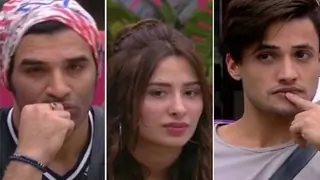 Bigg Boss 13: This is the new Punishment for Asim, Paras and Mahira  Thumbnail