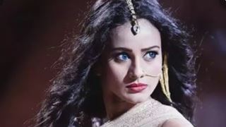 Heena Parmar To Play Naagin Yet Again!