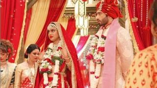 Naagin 4: Brinda & Dev To Get Married 