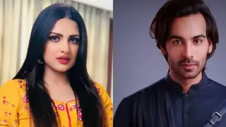 BB13: Himanshi Khurana Reveals That Arhaan Khan is 'Affected' by Rashami's Behavior! thumbnail