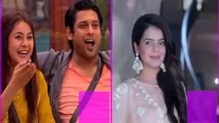 TRP Toppers: 'Shakti's New Chapter Results in Big Numbers; 'Bigg Boss 13' Consistent Thumbnail