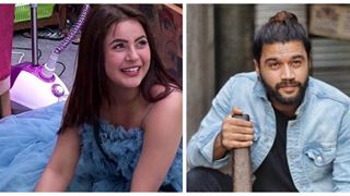 Five Reasons Why Balraj Syal & Shehnaz Gill Could be A 'Perfect Pair'