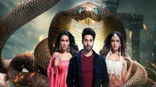 Colors Show Naagin 4 Set To Undergo One Year Leap! Thumbnail