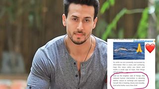 Tiger Shroff Shares Good News: Highlights the Positive side of COVID-19 outbreak! 