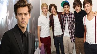 Harry Styles Contemplates a Virtual 'One Direction' Reunion