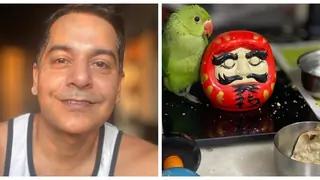 Gaurav Gera's Heartfelt note for his Baby Parrot; Explains how he Rescued him!  Thumbnail