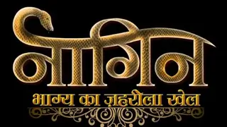 The REAL reason why Nia Sharma, Rashami Desai & Vijayendra's Naagin 4 will end  Thumbnail