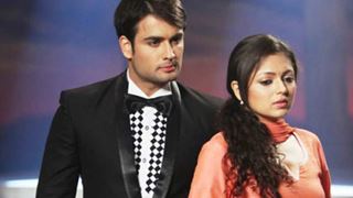 Vivian Dsena Confirms He Will Consider The Second Season of 'Madhubala' If Offered