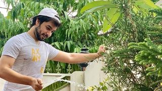 Manish Goplani talks about his love for plants on the occasion of World Environment Day