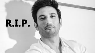 Sushant Singh Rajput Suicide: Celebrities Shocked Over The Sudden Suicide of The Actor