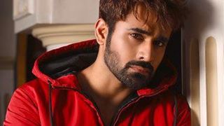  Pearl V Puri asks fans to feed strays instead of sending him birthday gifts