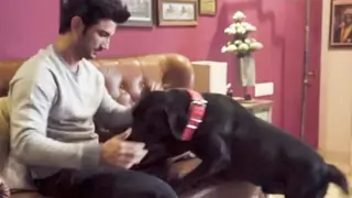 Sushant Bhaiya Was Murdered Using Pet Dog Fudge’ Belt: Actor’s Ex Assistant Makes Shocking Claims Thumbnail