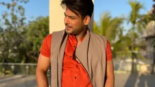 Bigg Boss 13 winner Sidharth Shukla reminisces his school days when he couldn't break matkis on Janmashtami Thumbnail