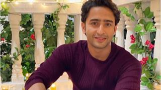 Shaheer Sheikh talks about the ongoing insider v/s outsider debate, Bollywood and more