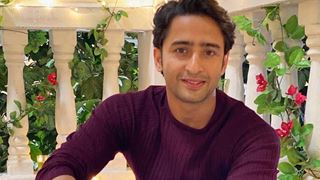 Shaheer Sheikh opens up on getting offers from Bollywood in the past