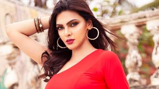 "Saw Cricketers, Bollywood Star Wives Snorting Cocaine at KKR Party": Sherlyn Chopra's Explosive Reveal