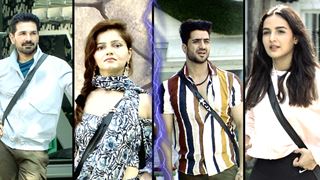 Bigg Boss 14: Jasmin, Aly, Rubina-Abhinav and 2 others nominated this week