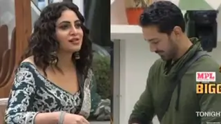 Bigg Boss 14: Arshi Khan flirts with Abhinav Shukla; Picks a fight with Vikas  Thumbnail